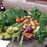 Masseria Pesco *