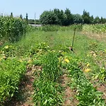 아파트 Masseria Pesco 오트란토