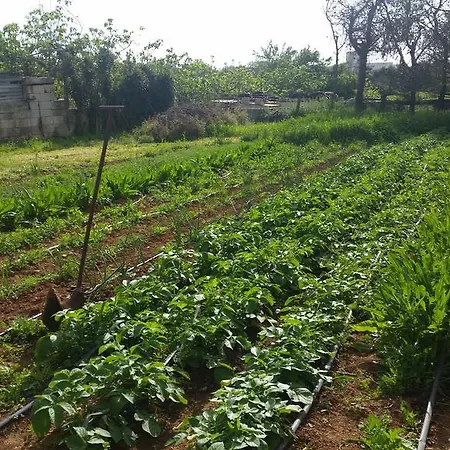 아파트 Masseria Pesco 오트란토